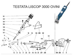 resized/GRUPPO010015