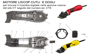 fb7eae30-22fa-443e-90ca-8dac9cfee800