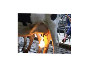 noimage