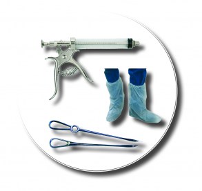 veterinaria