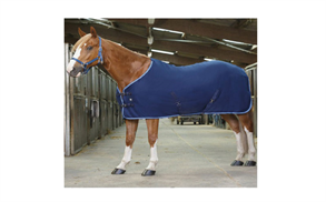 7c2af578-4e70-4910-b986-28030f98b525